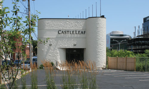 CastleLeaf Street View
