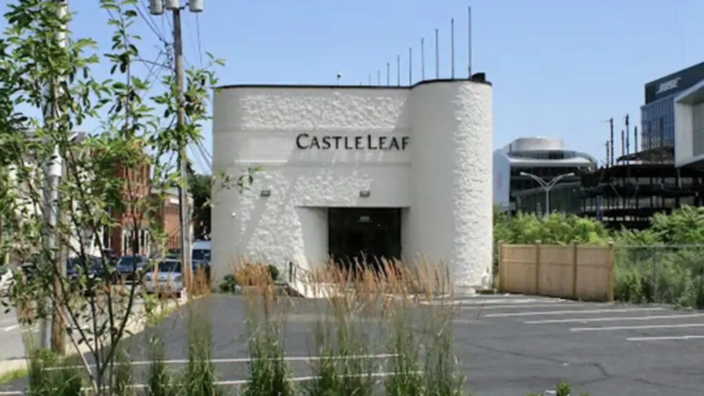 CONFISCATED CHEM (S-H) 3.5G FLOWER (22)