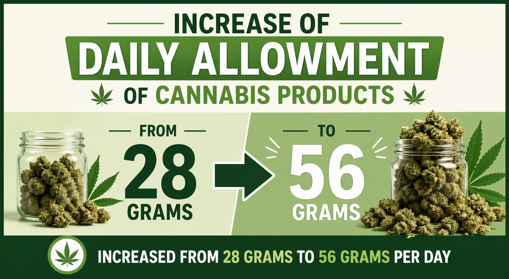 b5b07f40-b362-4722-8cf2-c997721b846a